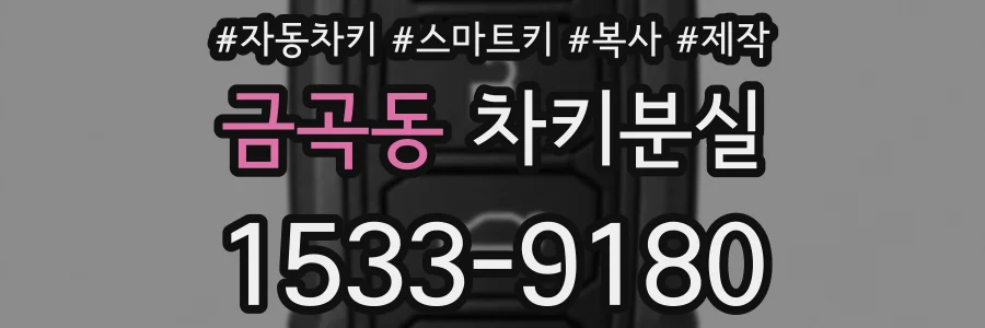 금곡동 차키분실