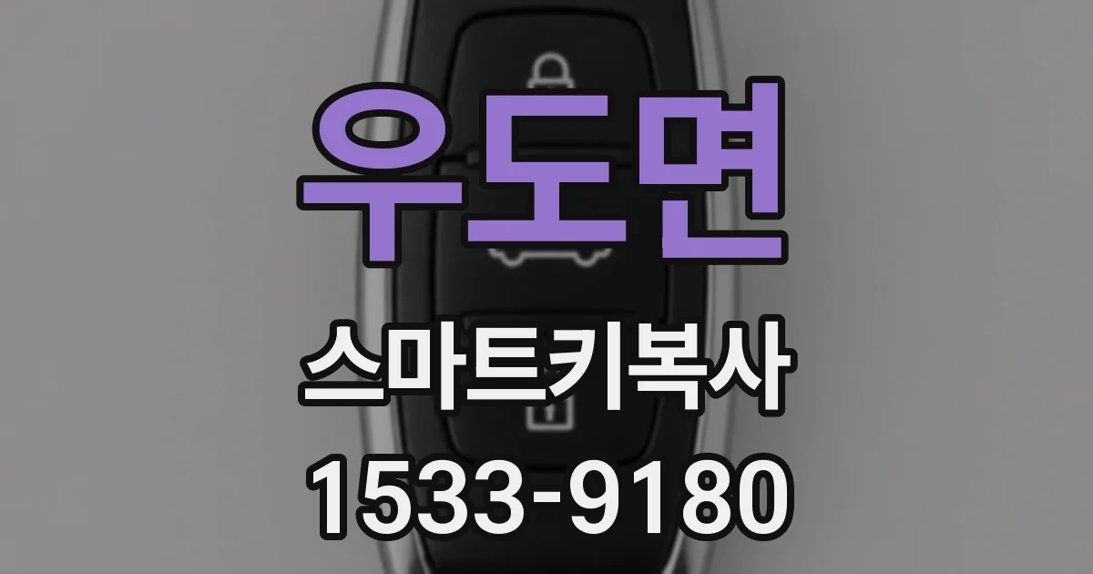 우도면 스마트키복사