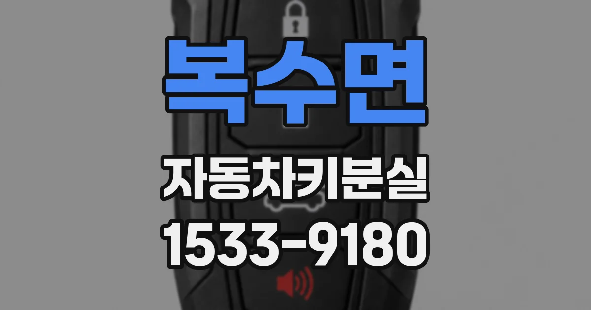 복수면 자동차키분실