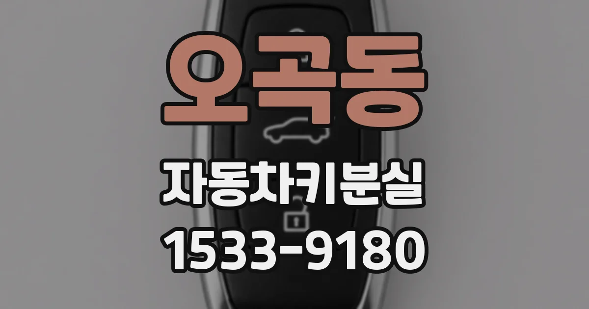 오곡동 자동차키분실