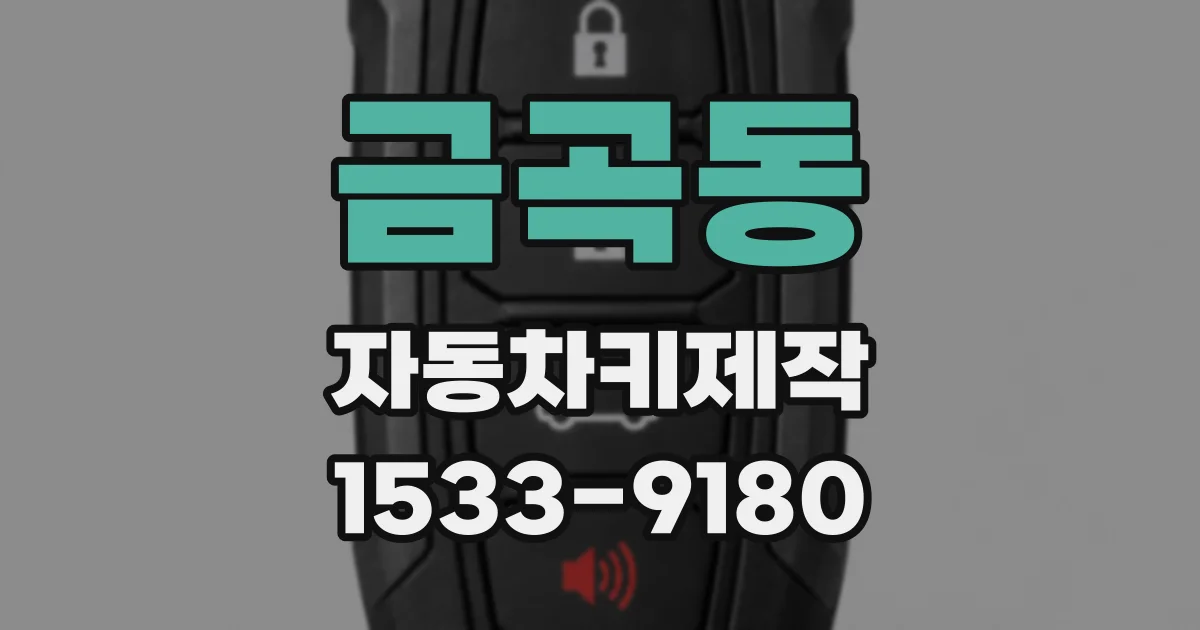 금곡동 자동차키제작