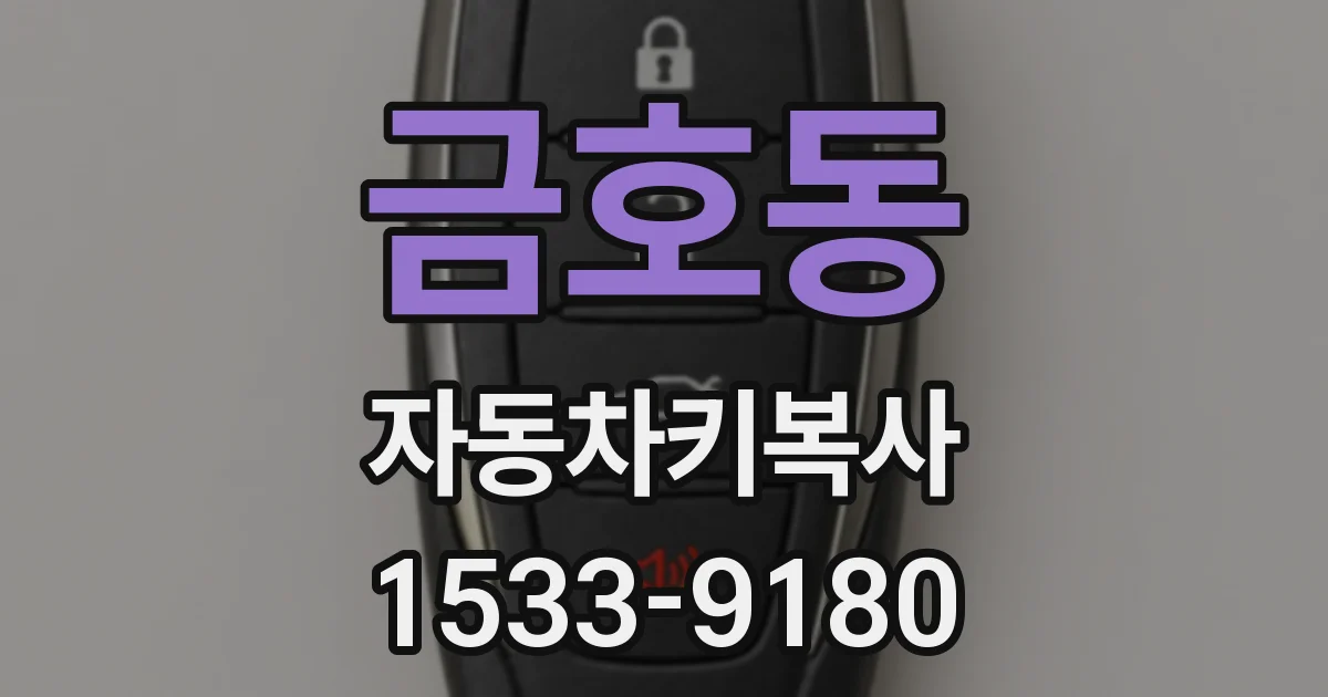 금호동 자동차키복사