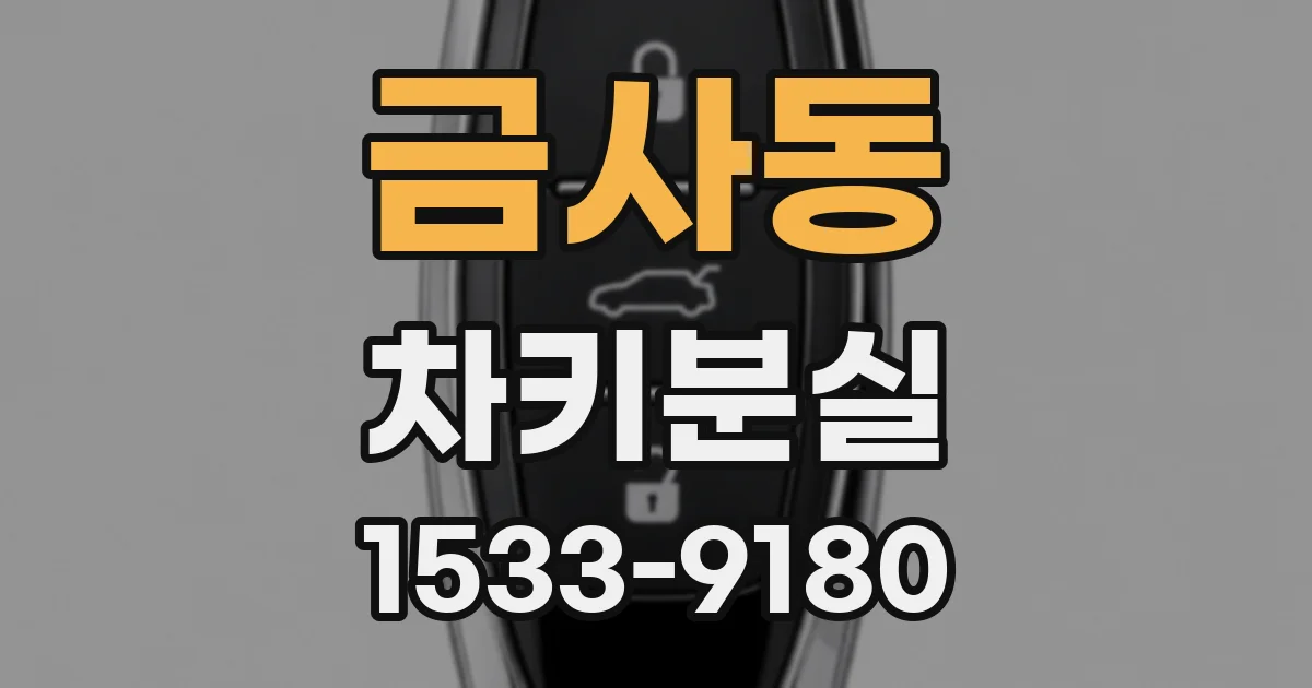 금사동 차키분실