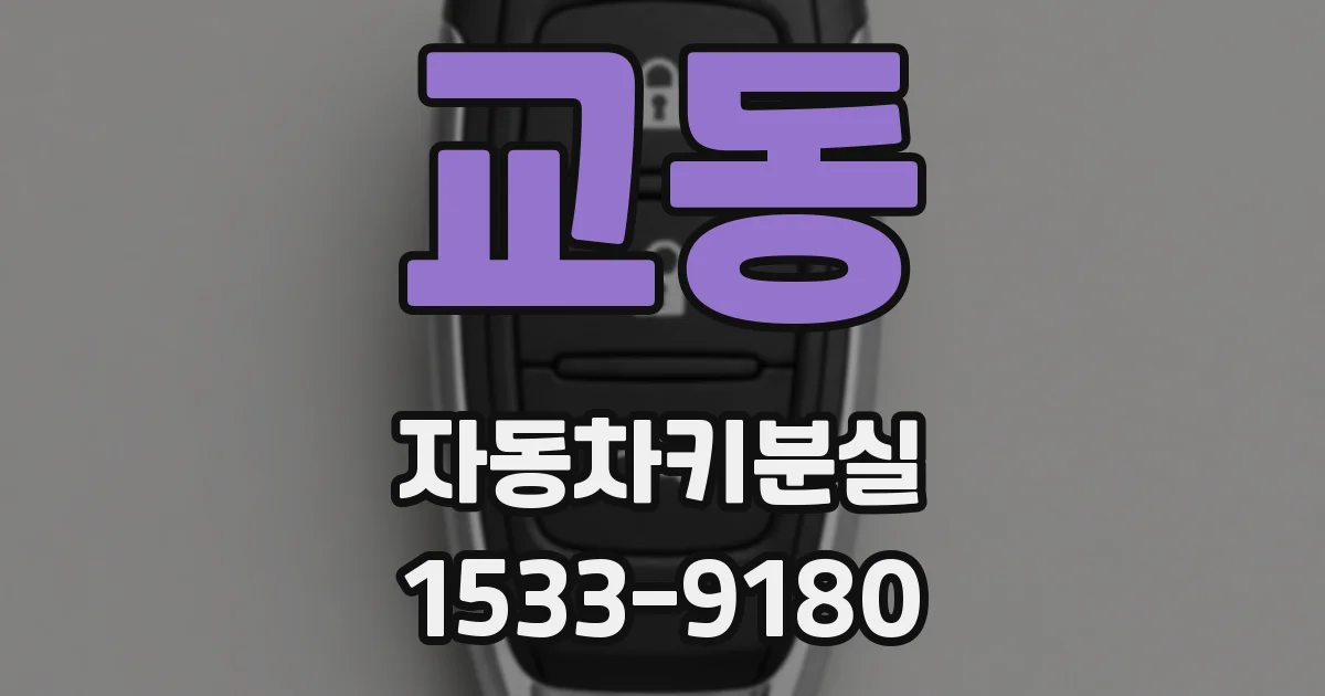 교동 자동차키분실