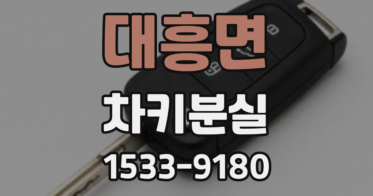 대흥면 차키분실