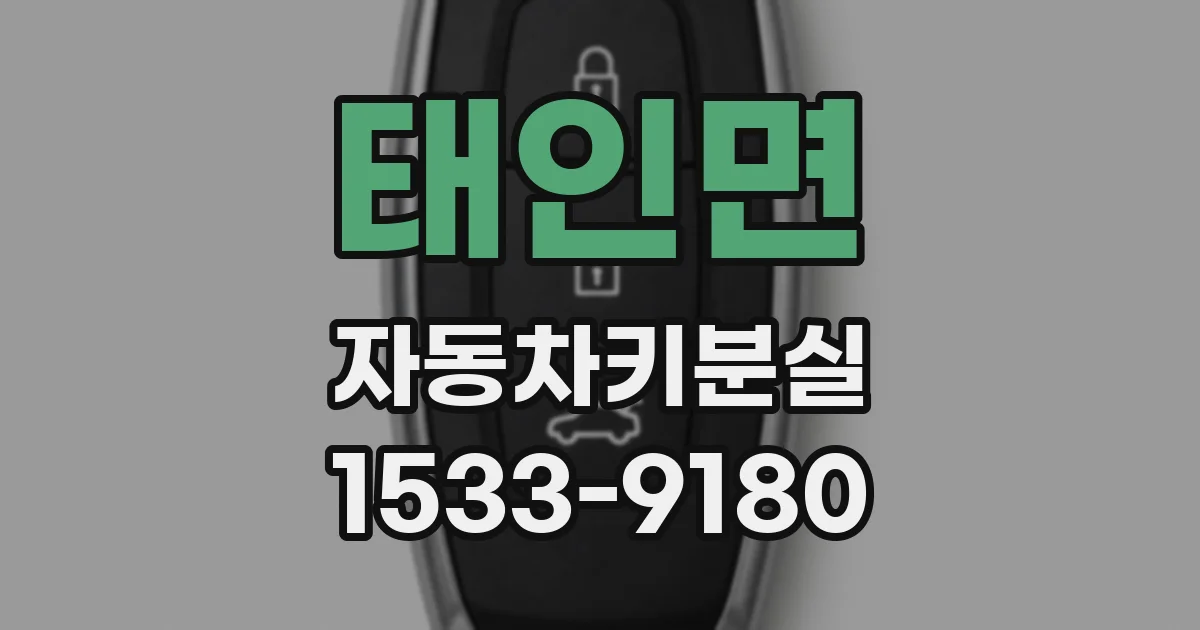 태인면 자동차키분실
