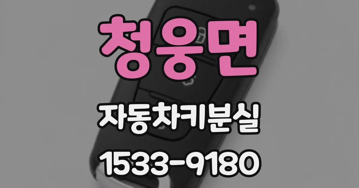 청웅면 자동차키분실