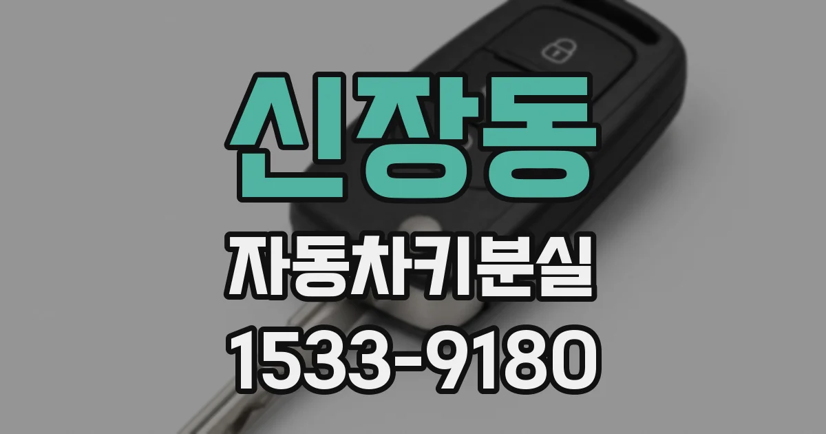 신장동 자동차키분실