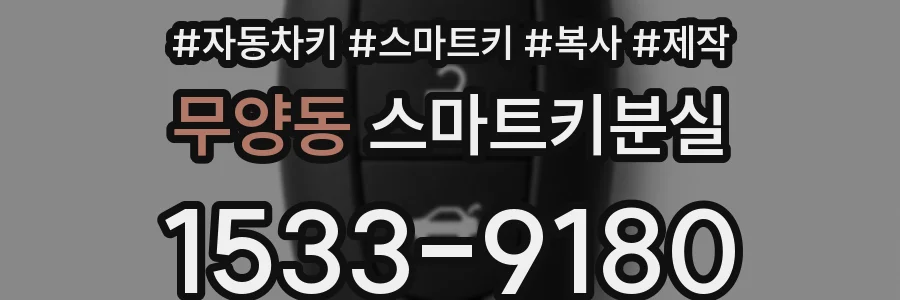 무양동 스마트키분실