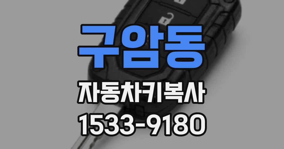 구암동 자동차키복사