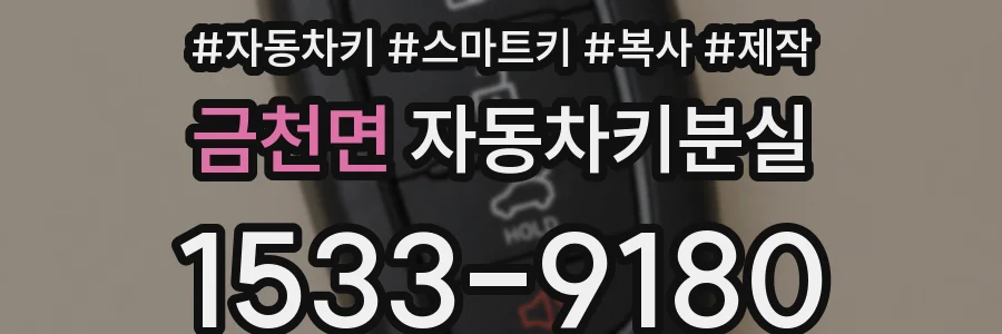 금천면 자동차키분실