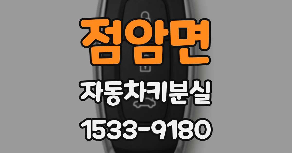 점암면 자동차키분실