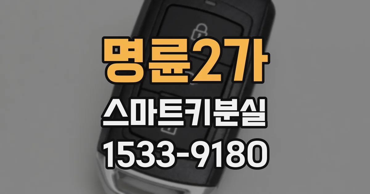 명륜2가 스마트키분실