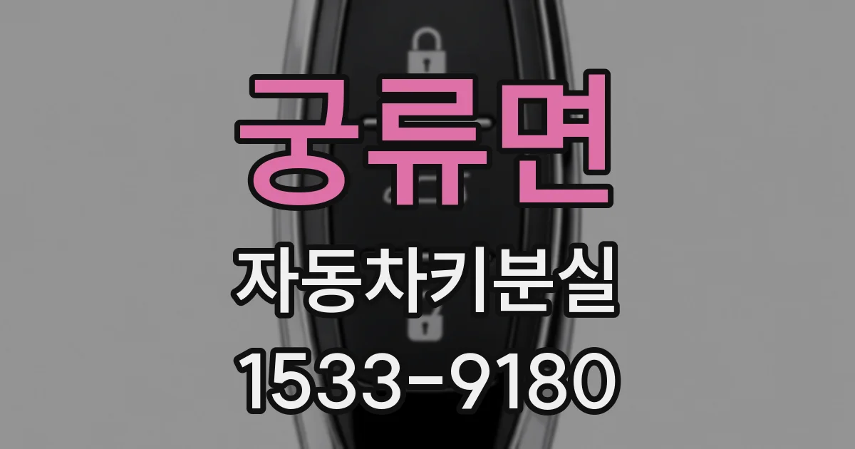 궁류면 자동차키분실