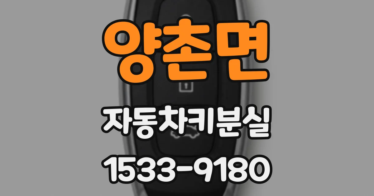 양촌면 자동차키분실