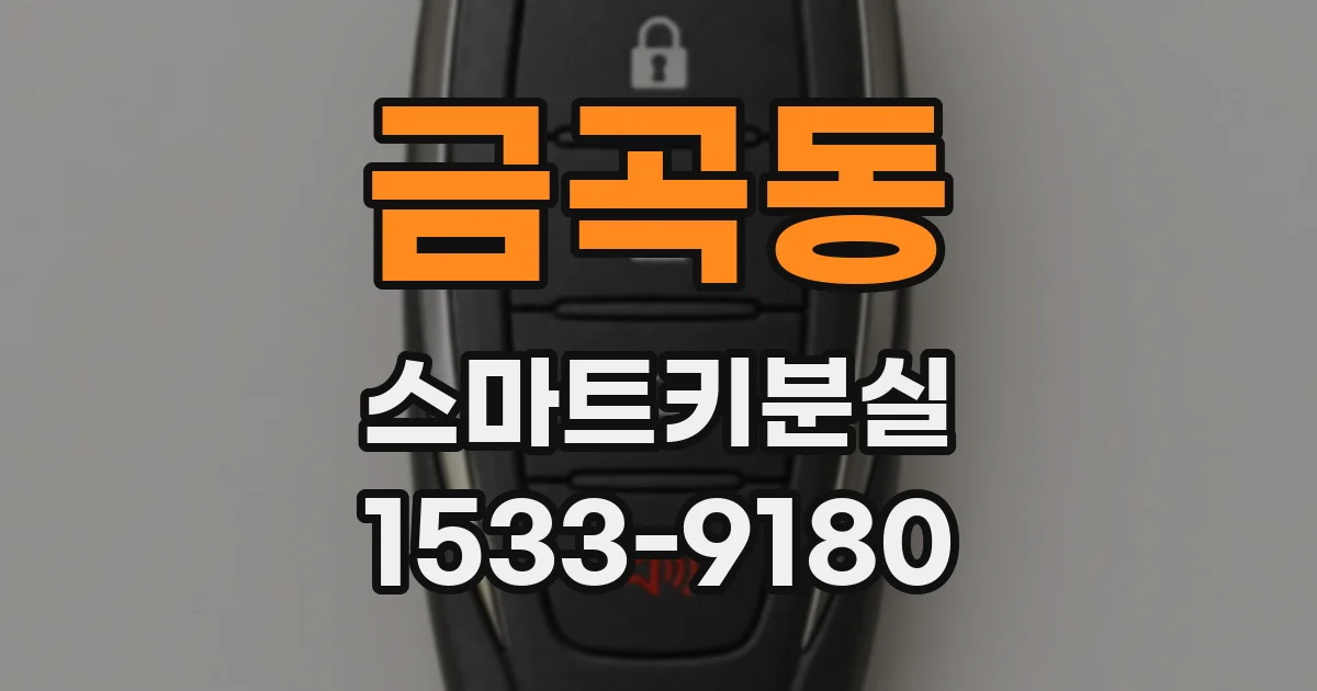 금곡동 스마트키분실
