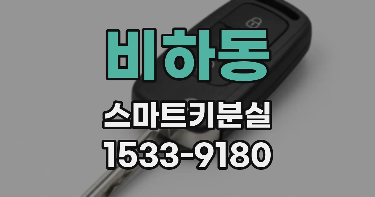 비하동 스마트키분실