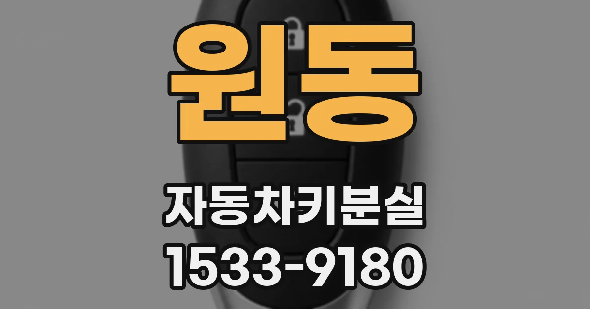 원동 자동차키분실