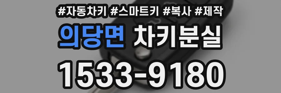 의당면 차키분실