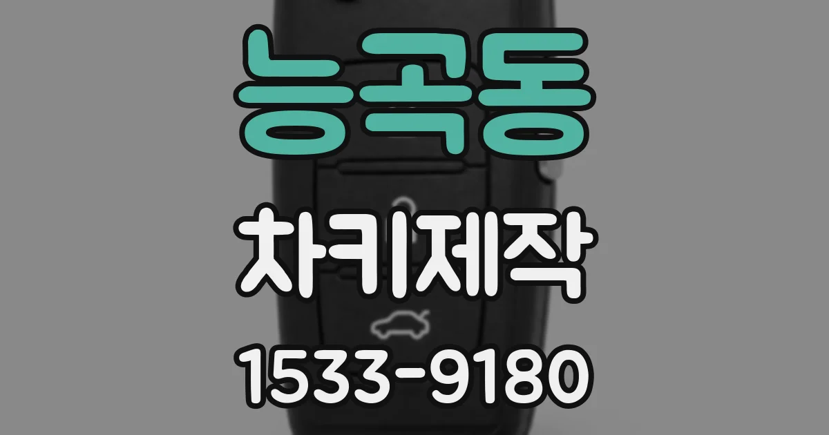 능곡동 차키제작