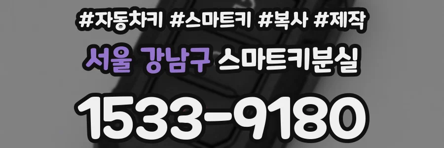 서울 강남구 스마트키분실