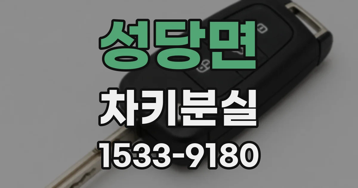 성당면 차키분실