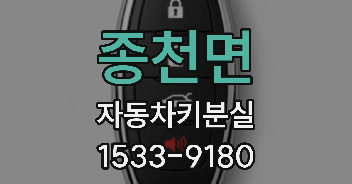 종천면 자동차키분실