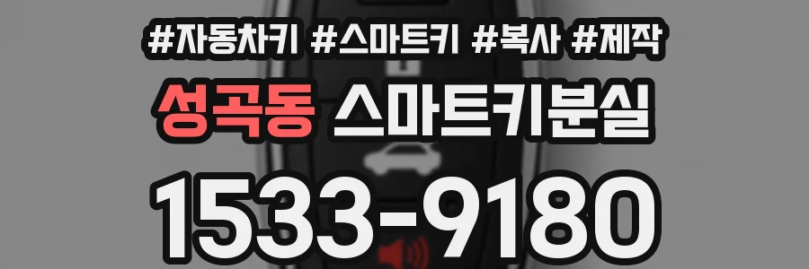 성곡동 스마트키분실