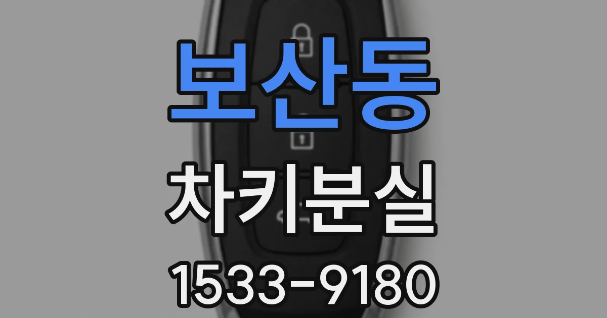 보산동 차키분실