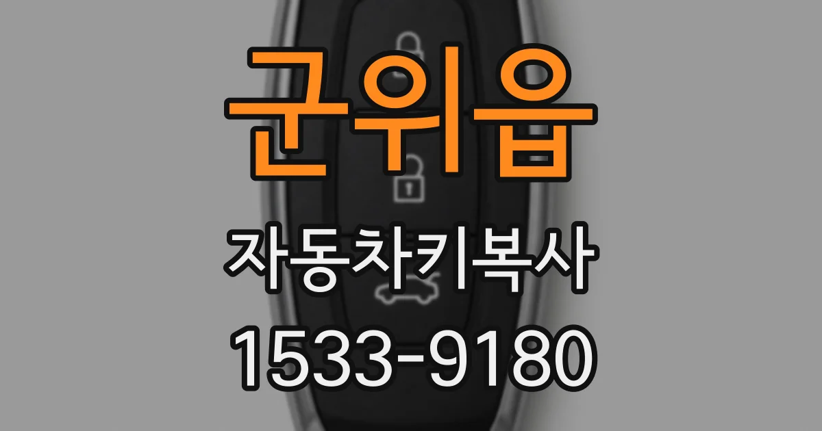 군위읍 자동차키복사