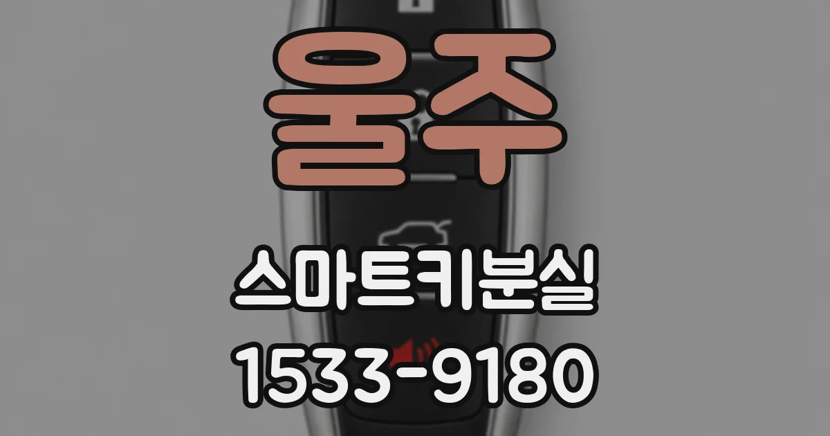울주 스마트키분실