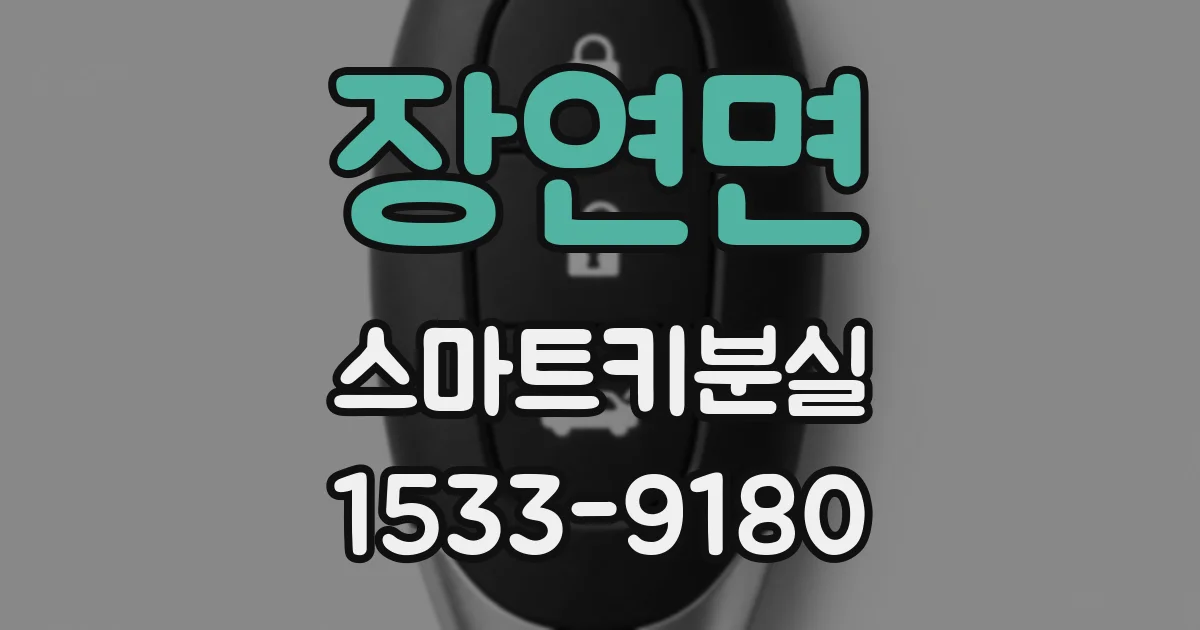 장연면 스마트키분실