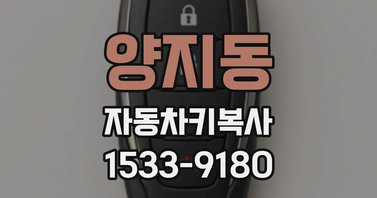 양지동 자동차키복사