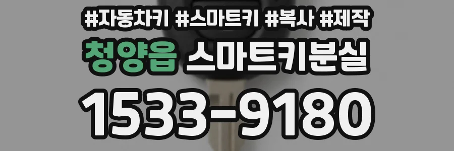 청양읍 스마트키분실