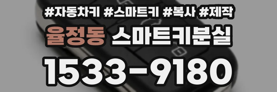 율정동 스마트키분실