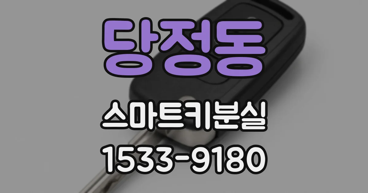 당정동 스마트키분실