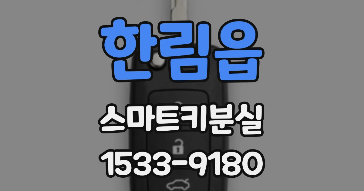 한림읍 스마트키분실