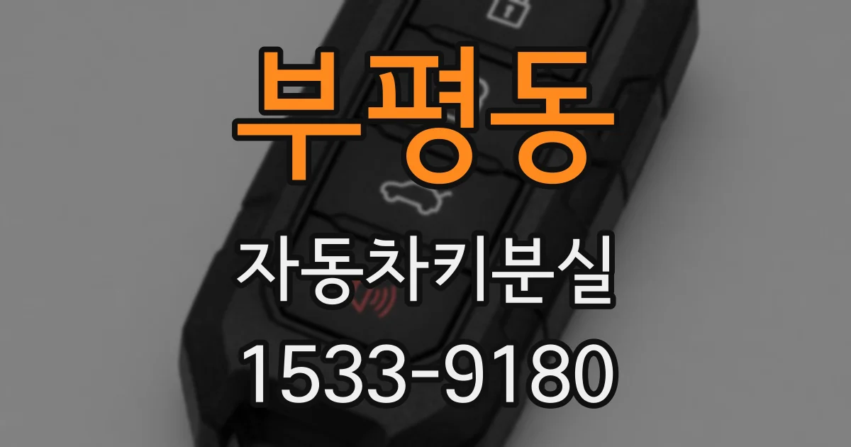 부평동 자동차키분실