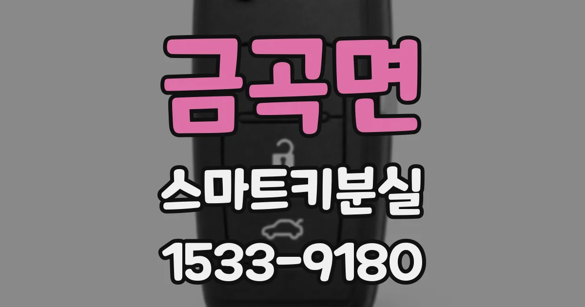 금곡면 스마트키분실