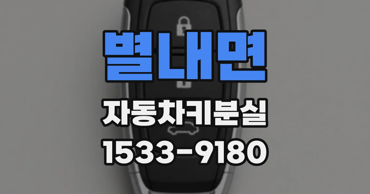 별내면 자동차키분실