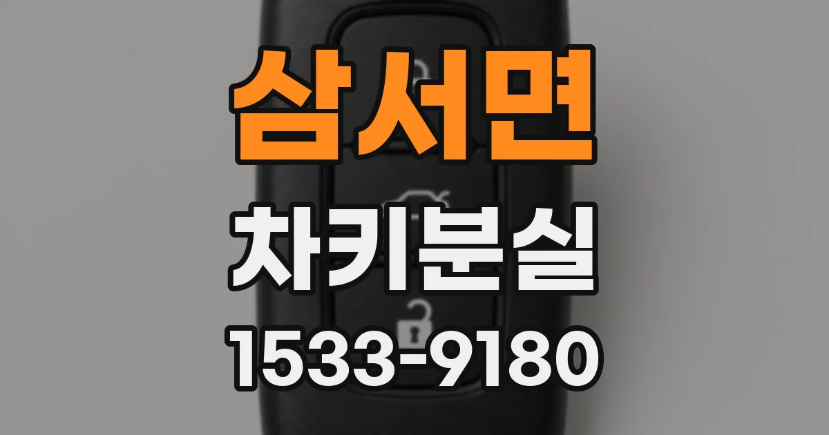 삼서면 차키분실