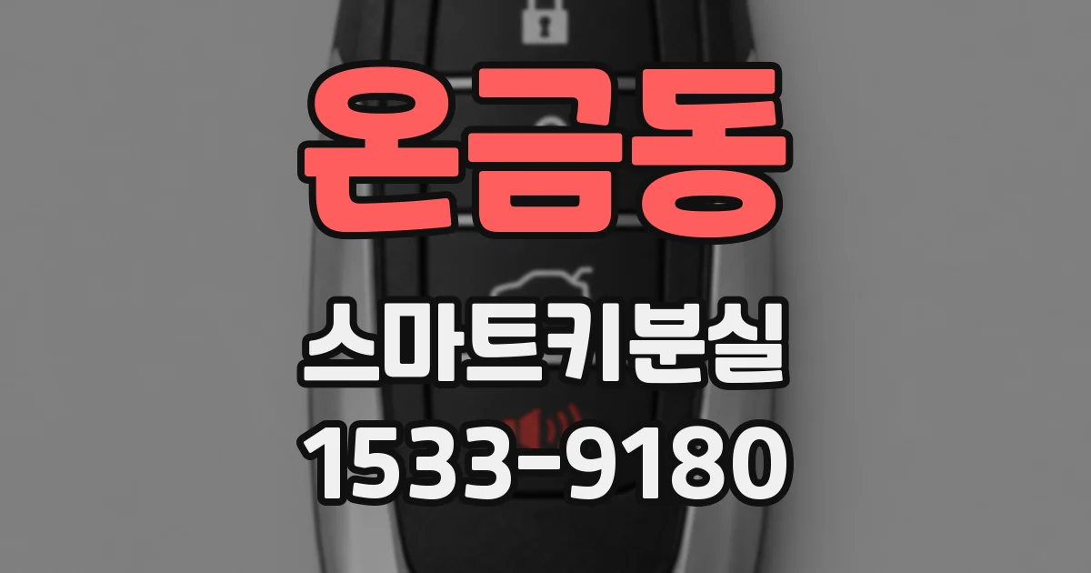 온금동 스마트키분실