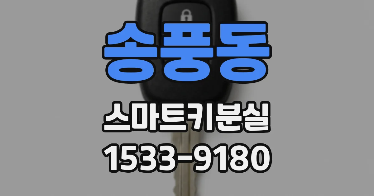 송풍동 스마트키분실