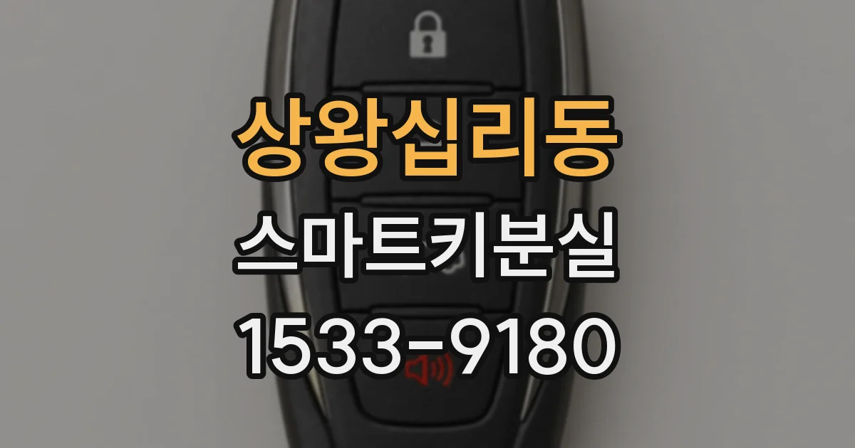 상왕십리동 스마트키분실