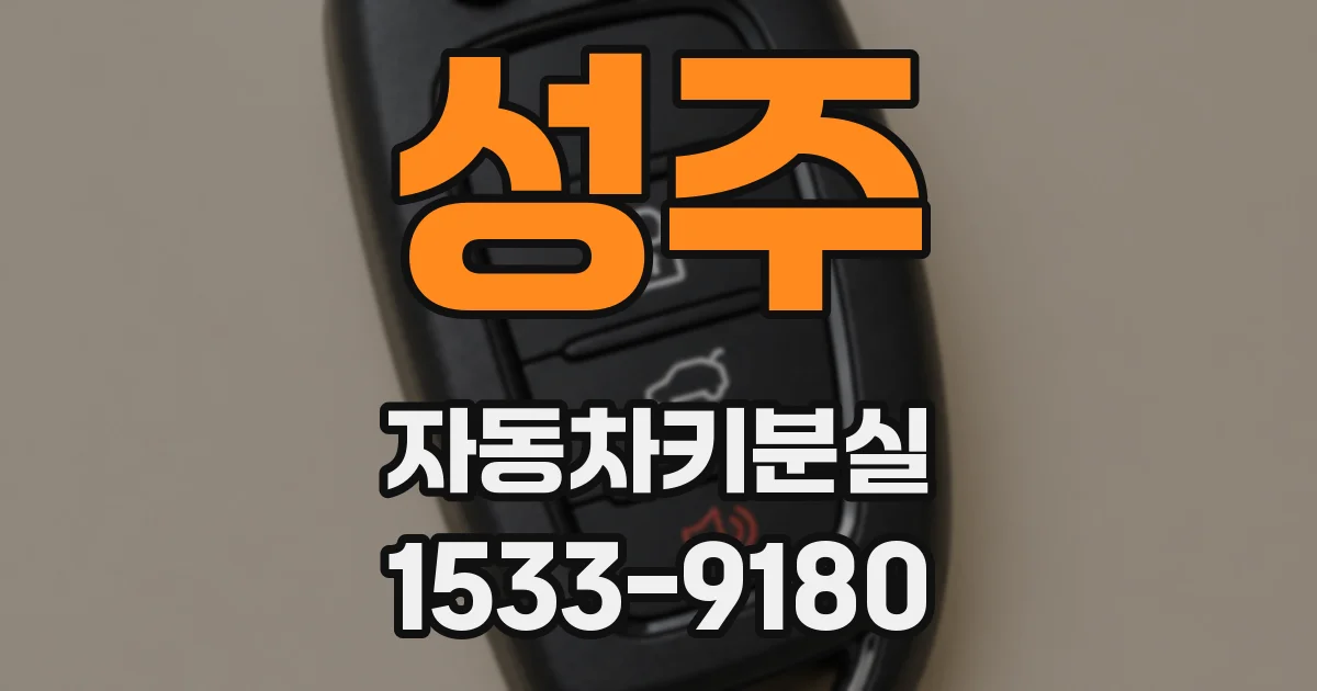 성주 자동차키분실