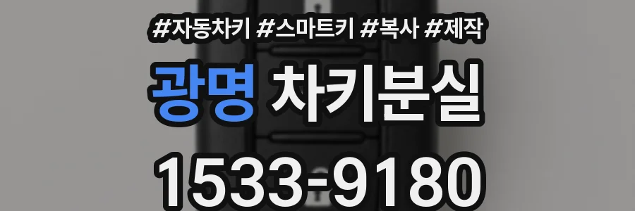 광명 차키분실
