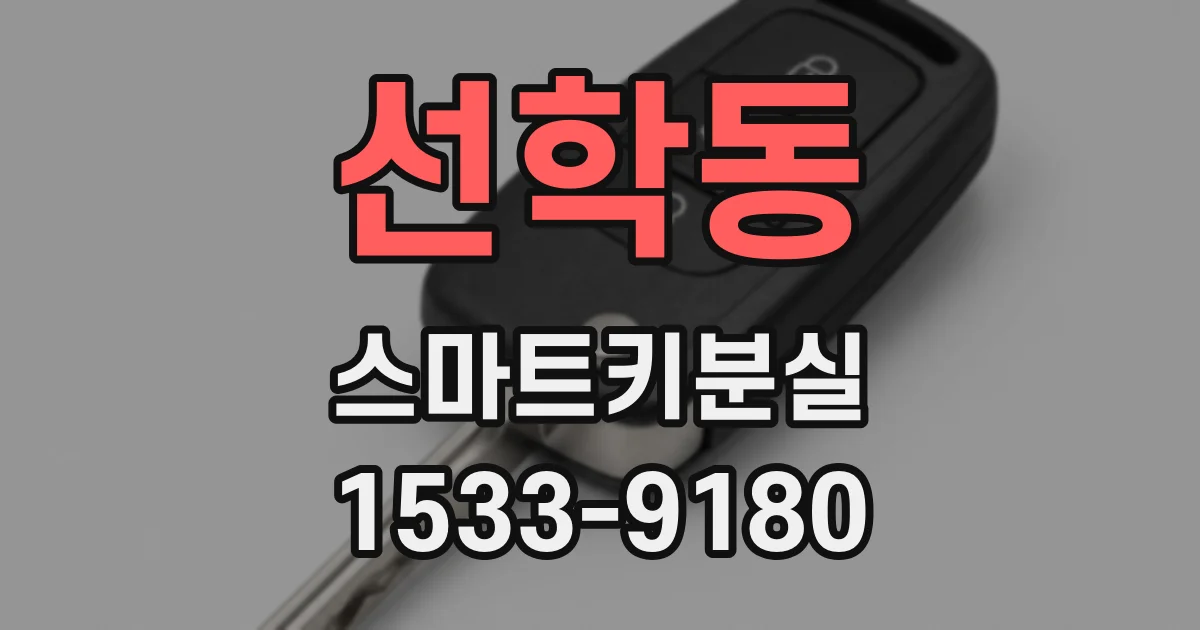 선학동 스마트키분실
