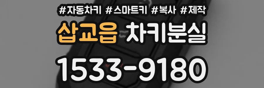 삽교읍 차키분실