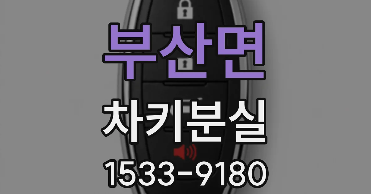 부산면 차키분실