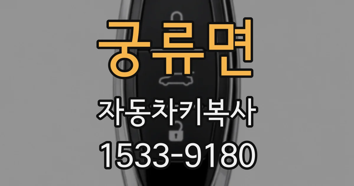 궁류면 자동차키복사